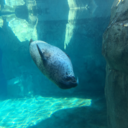 oh-goodness-baby avatar