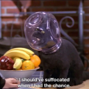 oh-surprise-its-me avatar