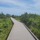 oh-this-heart-is-burning-up avatar