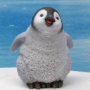 oh-to-be-a-penguin avatar