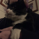 oh-wild-necromancer avatar