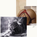 ohana-lizando avatar