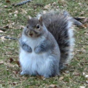 ohappydanceyah avatar