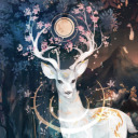 ohdeerxp avatar