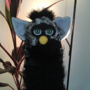 ohgurtlongfurby avatar