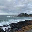 ohhhhtheplaceswellgo avatar