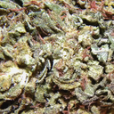 ohighoisforlovers avatar