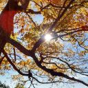 ohionative1982 avatar