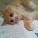 ohmsmygoodness avatar