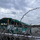 ohmygoditworked avatar