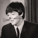 ohmygodmacca avatar