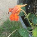 ohno-abadusername avatar