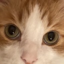 ohnoitshayley avatar