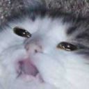 ohpeachesmypeach avatar