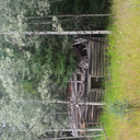 ohreinnskaplyndi avatar