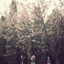 ohrememberwhoyouare-blog avatar