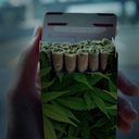 ohshitletmehit avatar