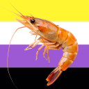 ohshrimps avatar