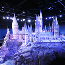 ohsoponed-blog avatar