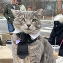 ohtobeoriginal avatar