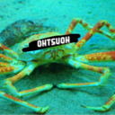 ohtsuoh-blog avatar