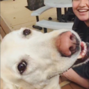 ohwellwhateverrrr avatar