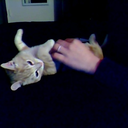 ohyesiloveherlike-blog-blog avatar