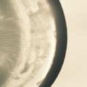 ohyoubeautopart avatar