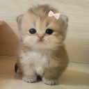 oiledupreigen avatar