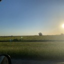 oistrashundescrore avatar