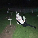 ojos-azules-con-gris avatar