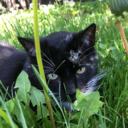 okay-alright-sure avatar