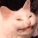 okayveryniceok avatar