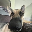 okbutlikemaybe avatar