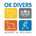 okdiversbali-blog avatar