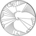 okological-blog-blog avatar