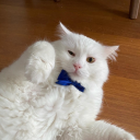 oksijensizyasiyorum avatar