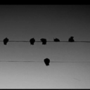 okudugumkitaplardan avatar