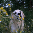 okuldabilinmeyenbiri avatar