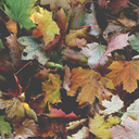 okuldannefretediyom avatar