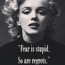 okyanustabirdamla avatar