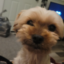 old-schoolgenz avatar