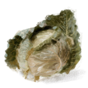 oldcabbages avatar