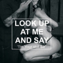 oldenglishdom-2 avatar