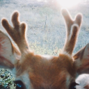 oldermenloveralways avatar