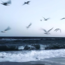 oldersisterrage avatar