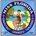 oldflorida avatar