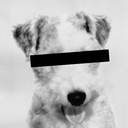 oldhollywoodfaceswap-blog avatar