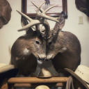 oldloafofmilk avatar