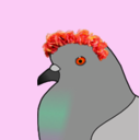 oldpigeongrrls avatar